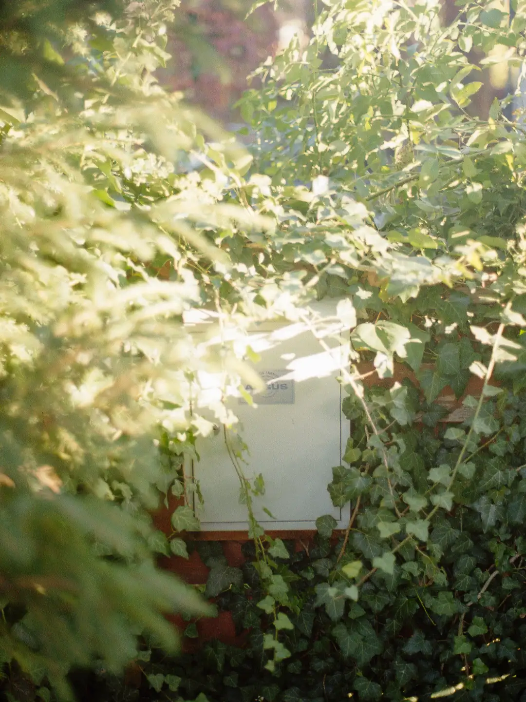 A modern postbox surrounded by trees and leaves. Created and photographed by Hiroku
