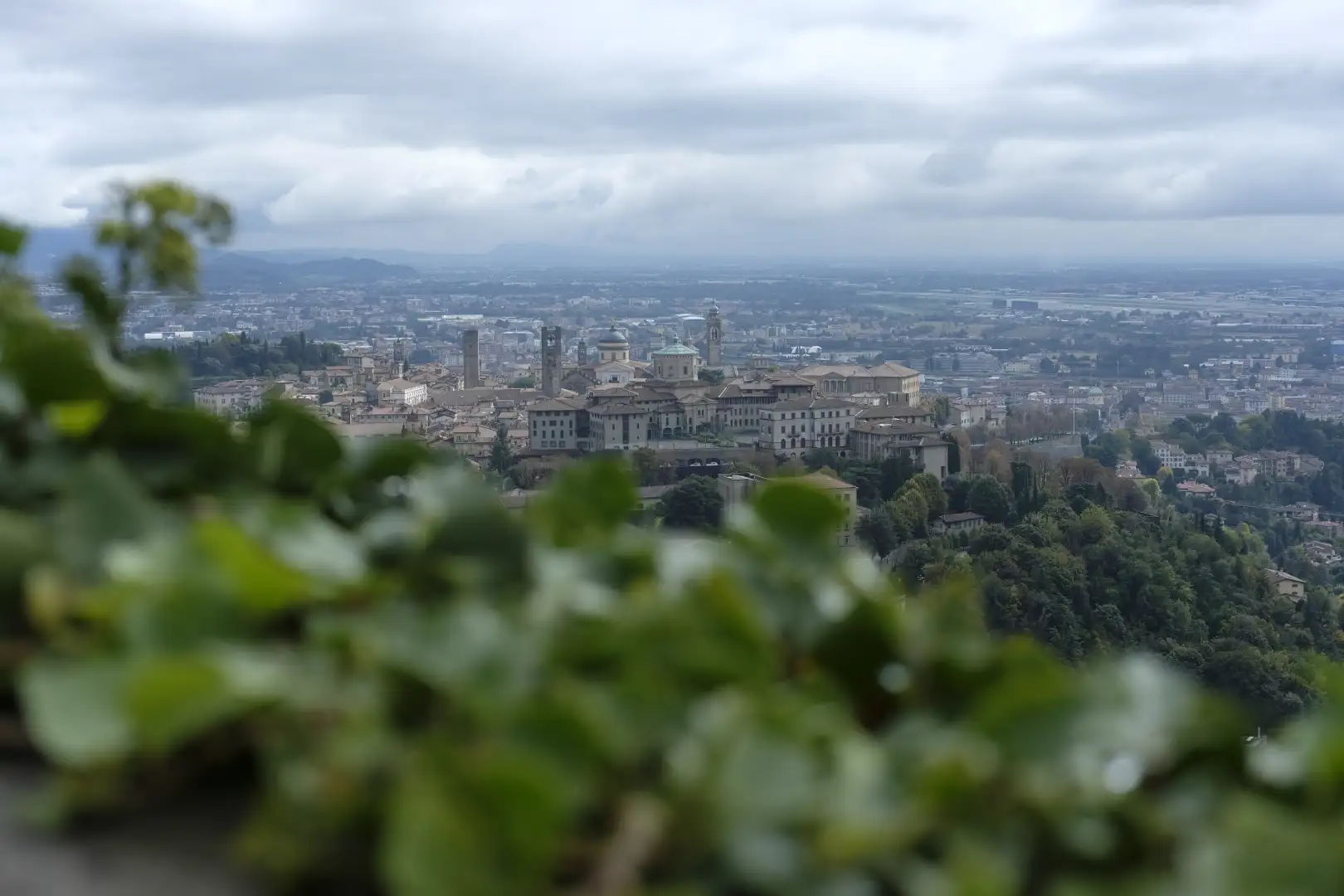 Lanscape photo depicting a grassy scene over a city scape. Created and photographed by Hiroku