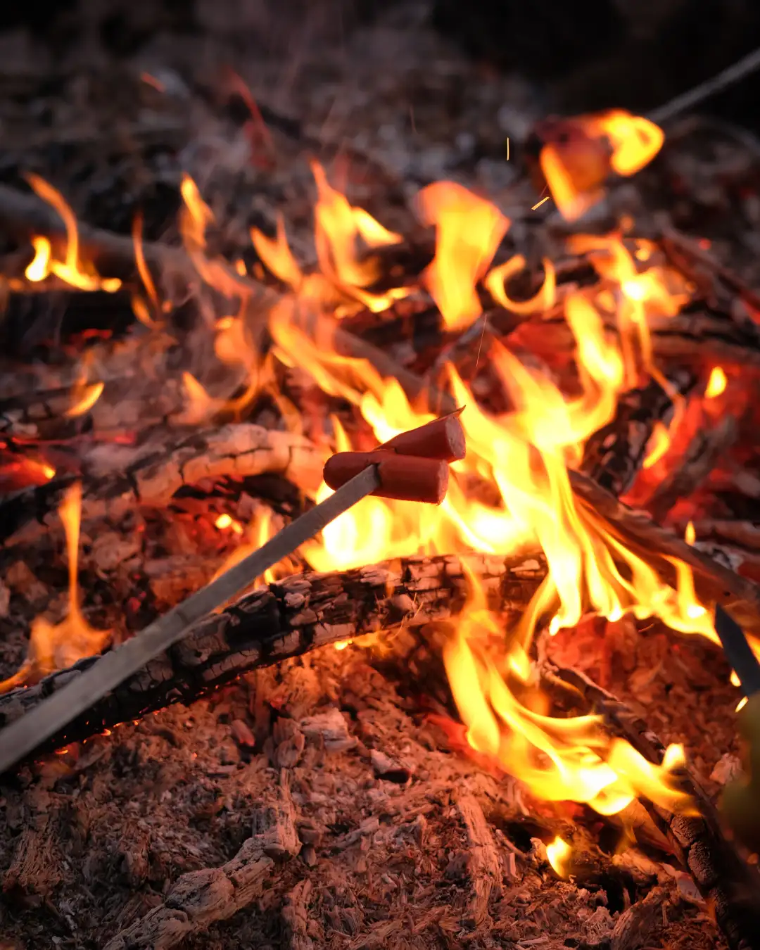 A couple hotdogs getting roasted over a raging campfire. Created and photographed by Hiroku