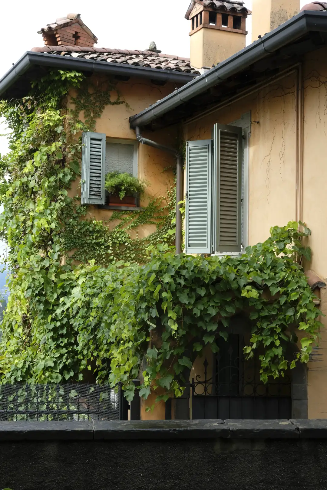 An old italian house that's overgrown. Created and photographed by Hiroku