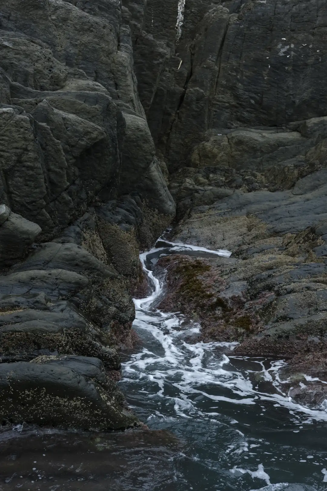 A beautiful small stream water stream coming from a rock that's flowing into the ocean. Created and photographed by Hiroku
