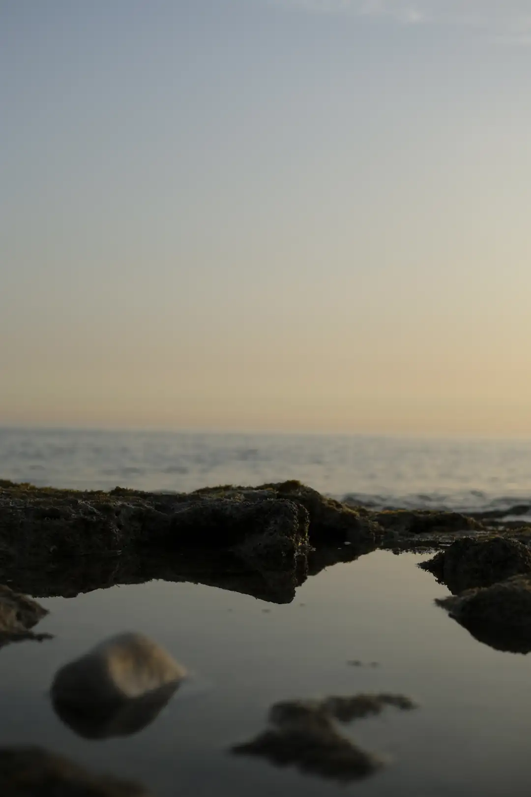 Mossy rocks with a small puddle within them. Created and photographed by Hiroku