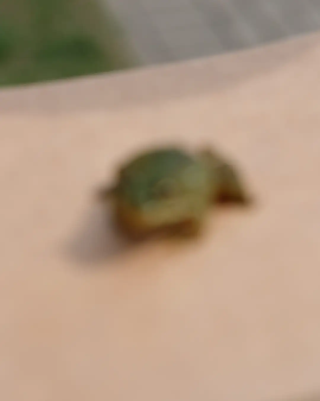 An out of focus picture of a green little frog. Created and photographed by Hiroku